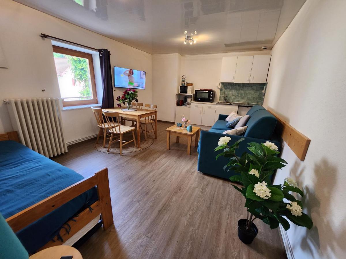 Gite Bruyere, 2 A 5 Personnes Avec Salle De Jeux Et Spa Dans La Residence Вантрон Экстерьер фото